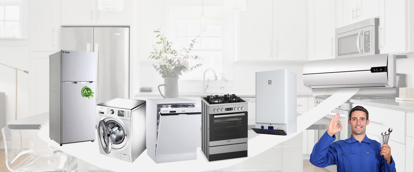 Yayladere Dominox Servisi